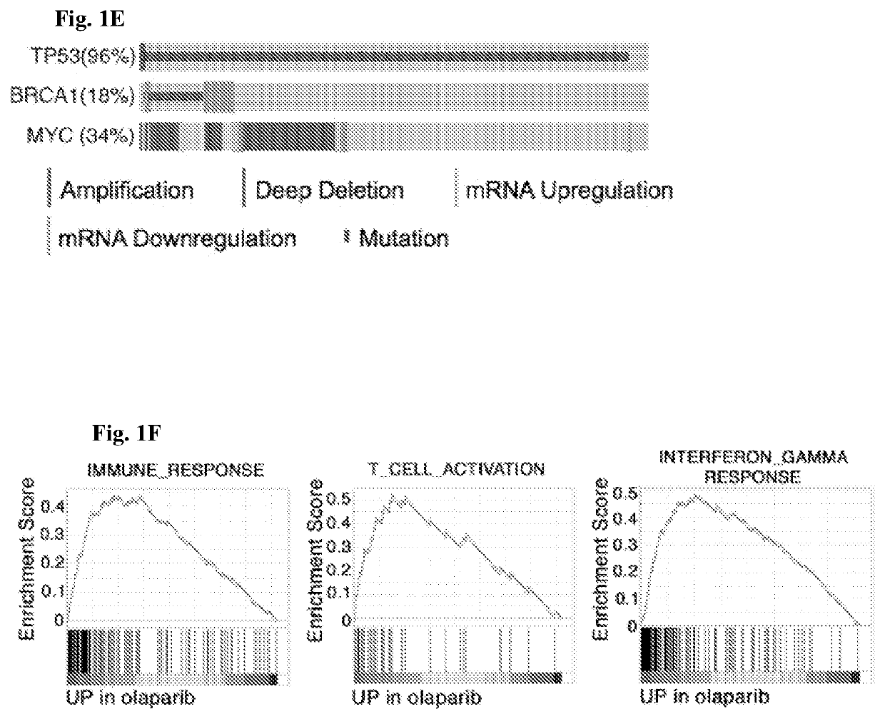 Cancer vaccine compositions and methods for using same to treat cancer