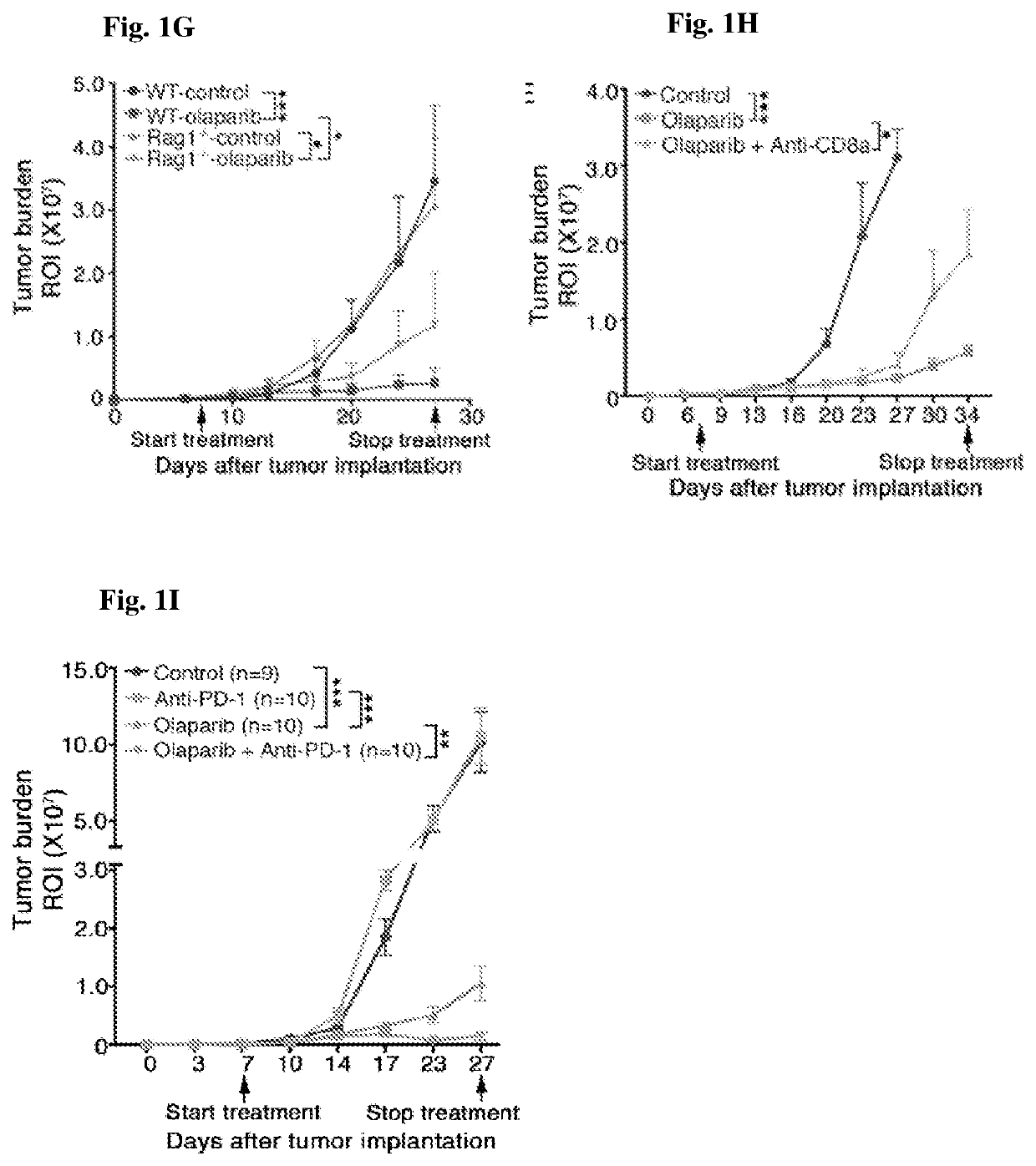 Cancer vaccine compositions and methods for using same to treat cancer