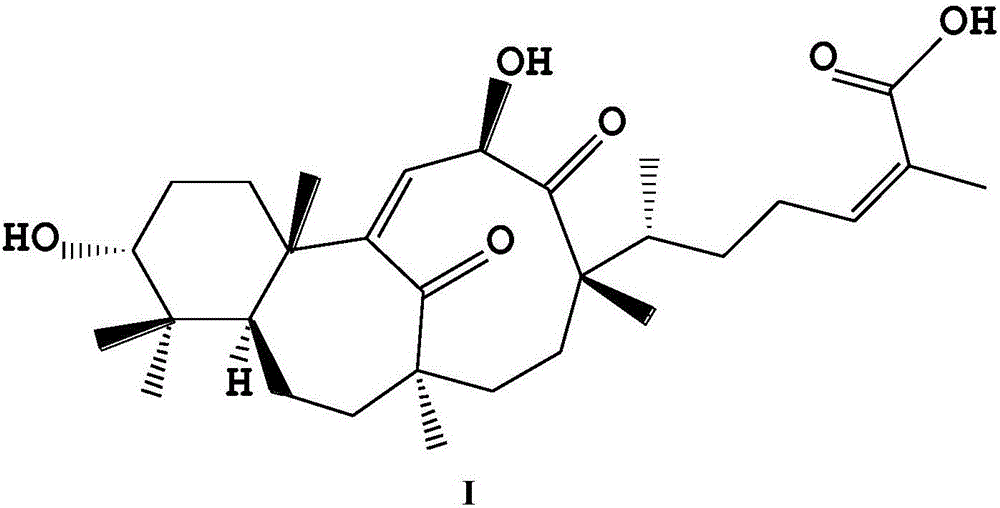 Application of composition of O-(triazolyl) ethyl of Schiglautone A and O-(2-methyl sulfonium ethyl) amido) ethyl derivative in low red blood cell anemia resisting drugs