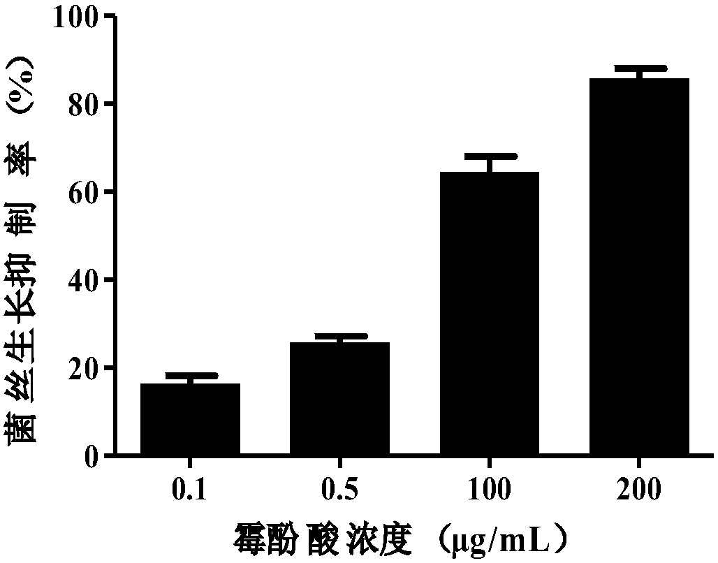 Application of mycophenolic acid in inhibiting Peronophythora litchii