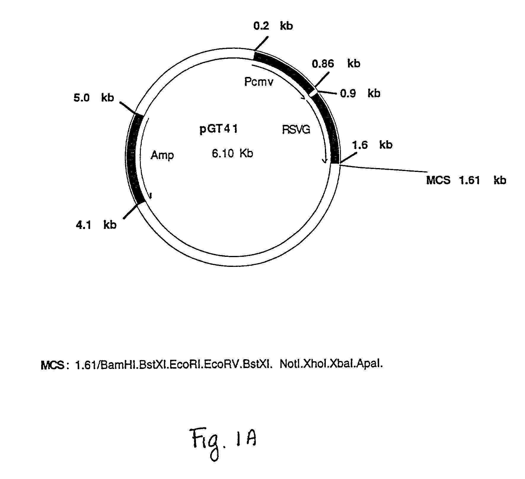 Compositions and methods for administering pneumococcal DNA
