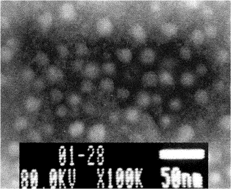 Oral cancer nano vaccine and structuring method thereof