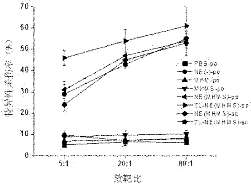 Oral cancer nano vaccine and structuring method thereof