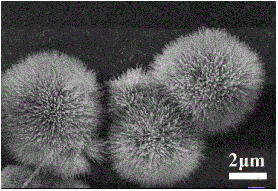 Preparation method of sea urchin-like Ni/Co composite basic carbonate