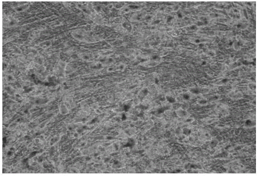 Kit for verifying adipose-derived stem cells