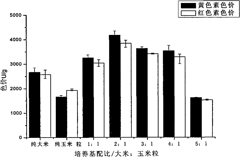 Monascus anka, and solid-state fermentation color-production method and application thereof