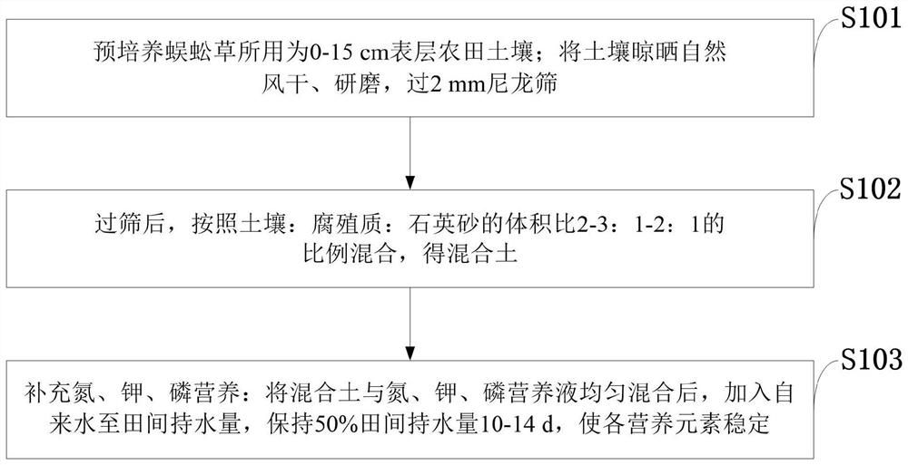 Soil for rapidly cultivating pteris vittata, cultivating method and application