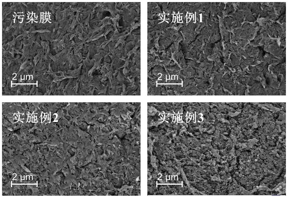 A method for recycling water treatment waste PVDF membrane