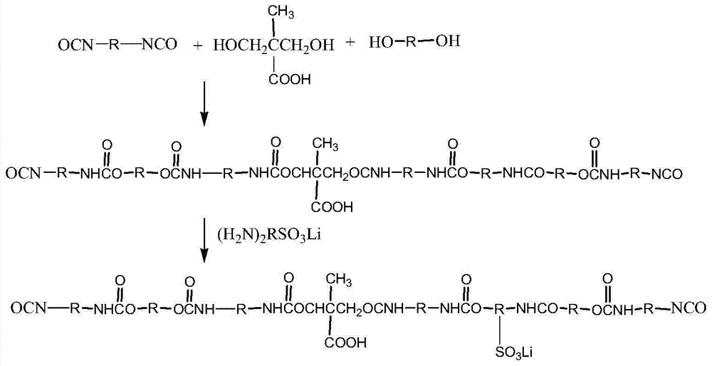 Graphene polymer electrolyte and preparation method thereof