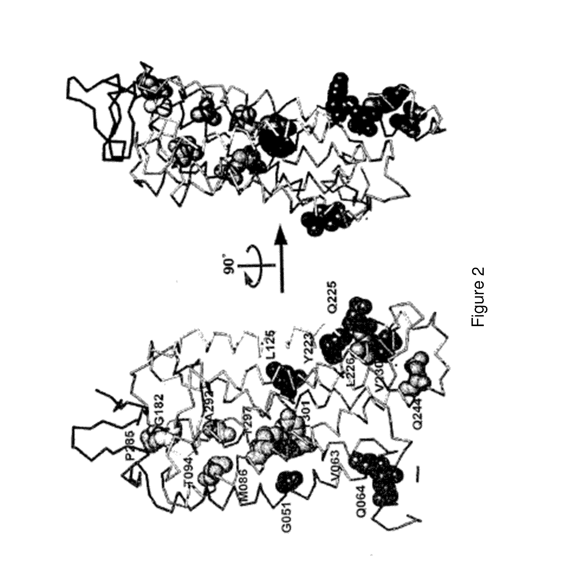 Methods for screening for binding partners of g-protein coupled receptors