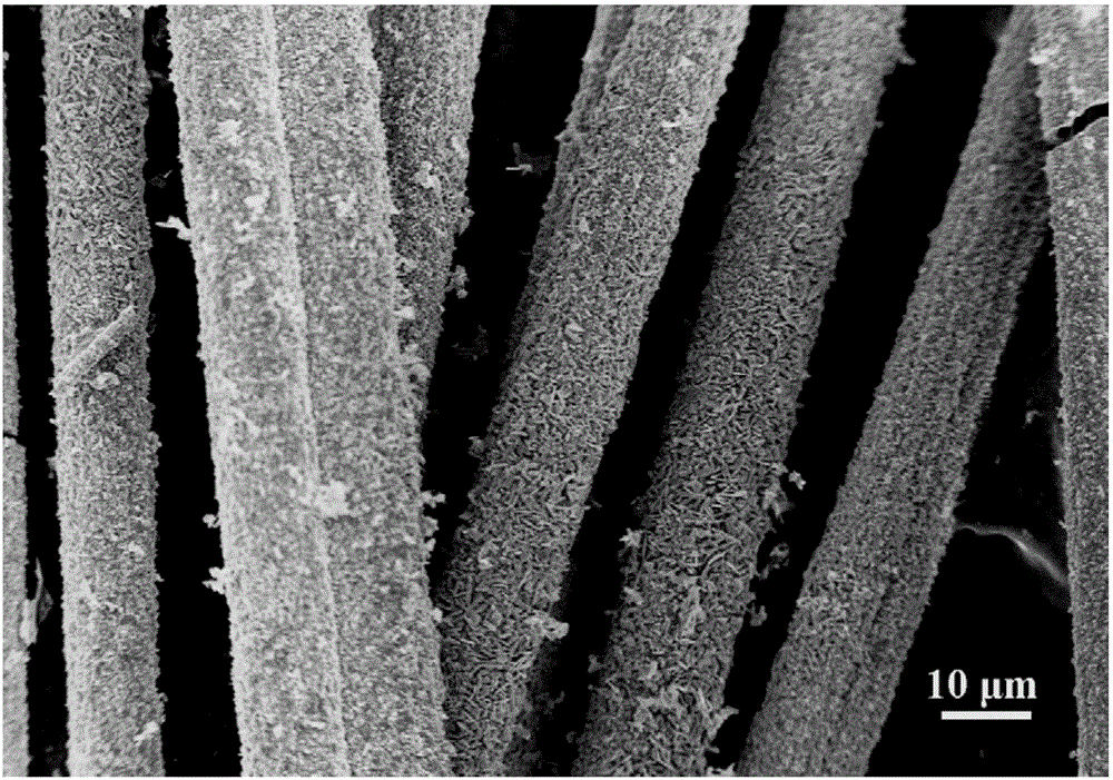 Carbon fiber@molybdenum disulfide nanosheet core-shell composite structure and preparation method thereof