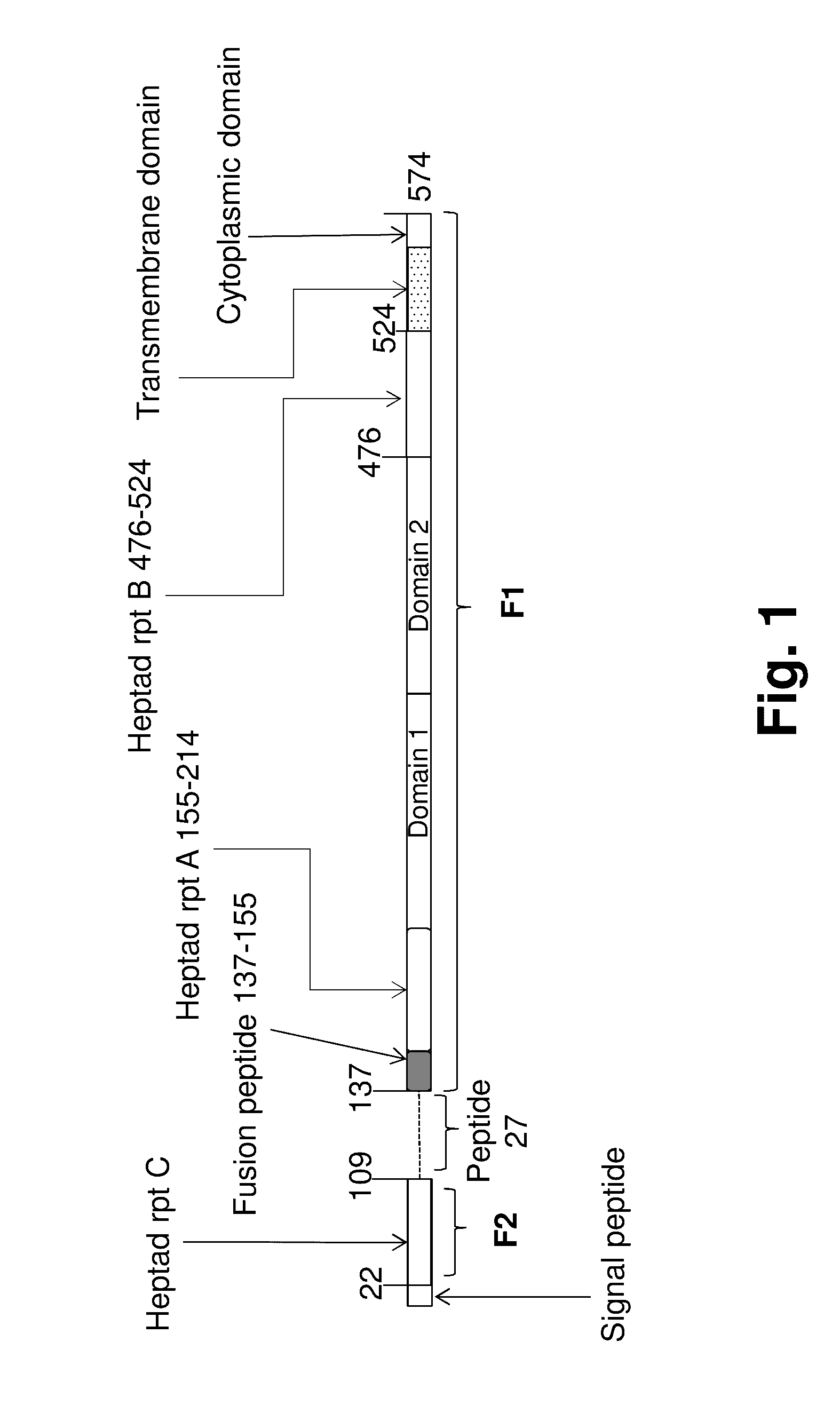 Human Antibodies to Respiratory Syncytial Virus F Protein and Methods of Use Thereof