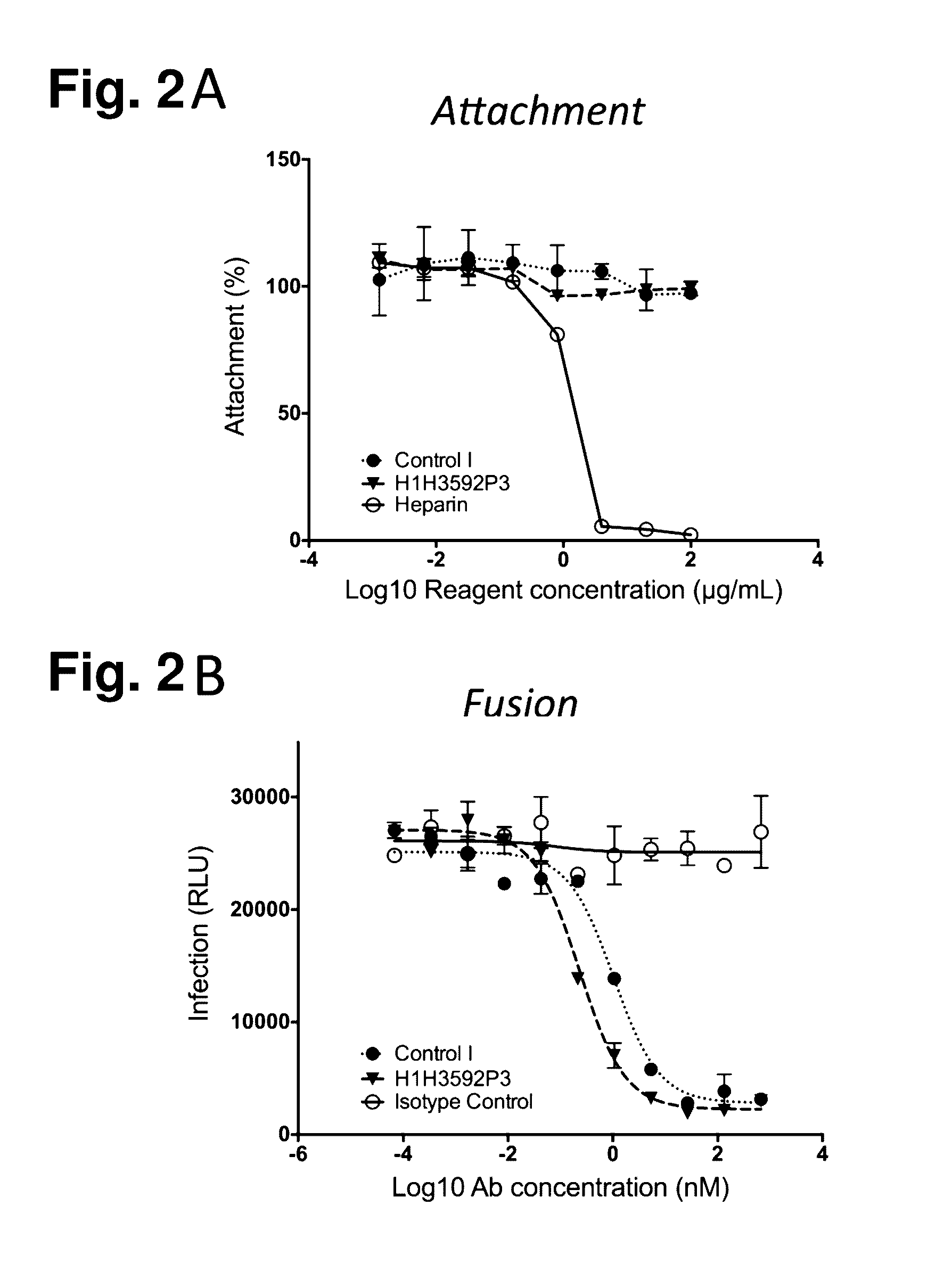 Human Antibodies to Respiratory Syncytial Virus F Protein and Methods of Use Thereof