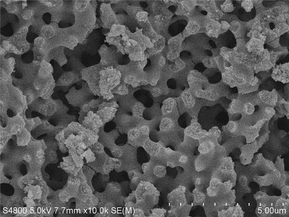 A kind of preparation method of nitrogen-doped titanium dioxide powder with network porous structure