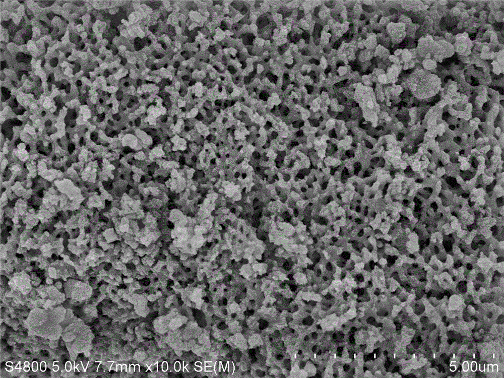 A kind of preparation method of nitrogen-doped titanium dioxide powder with network porous structure