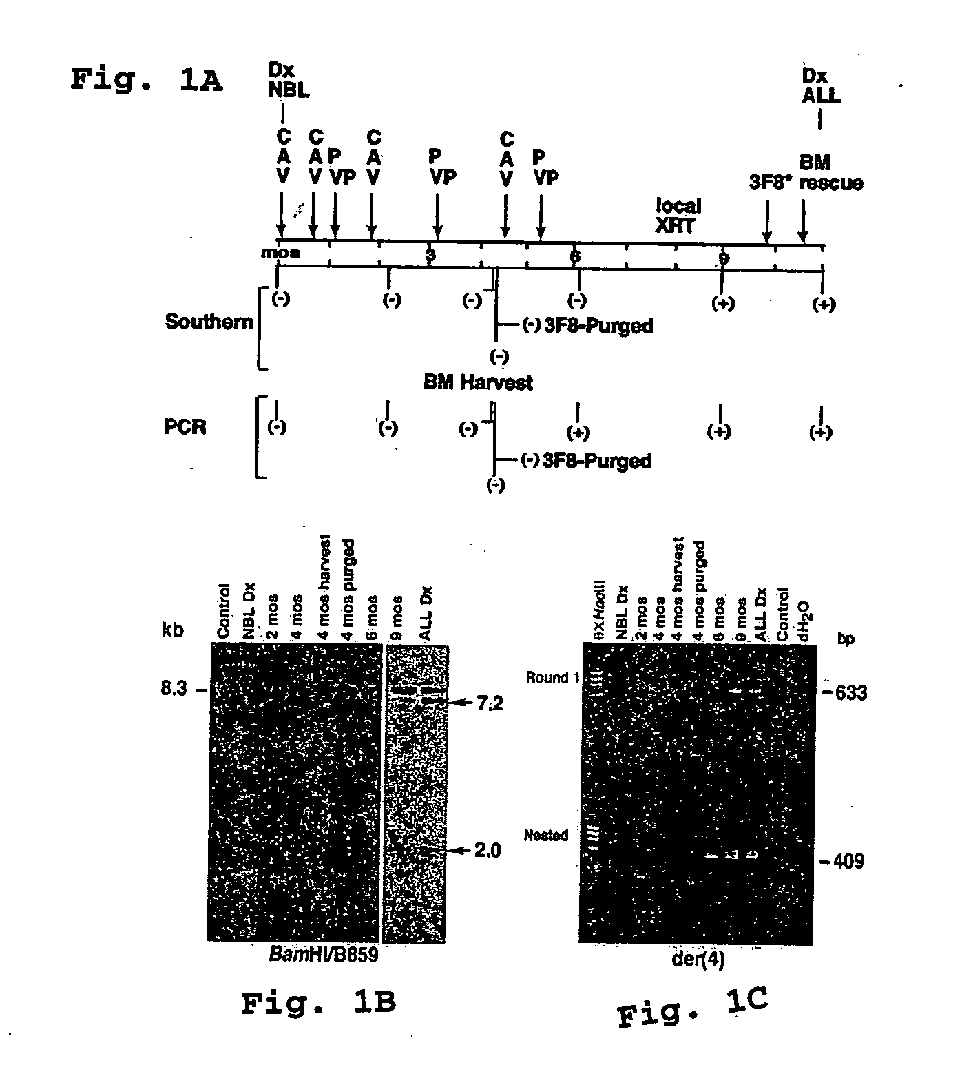 Compositions and methods for the detection of DNA topoisomerase II complexes with DNA