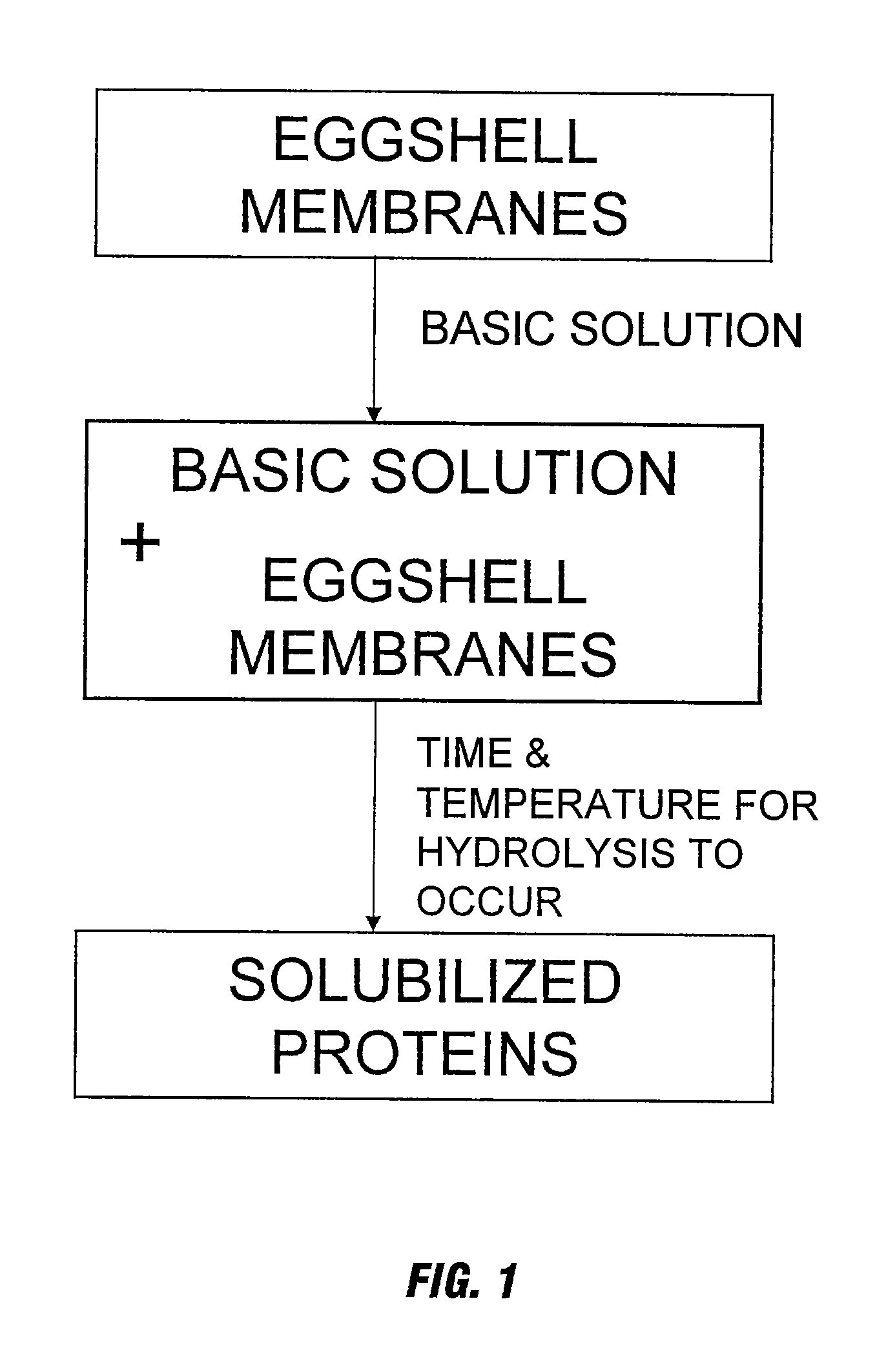 Novel process for solubilizing protein from a proteinaceous material and compositions thereof