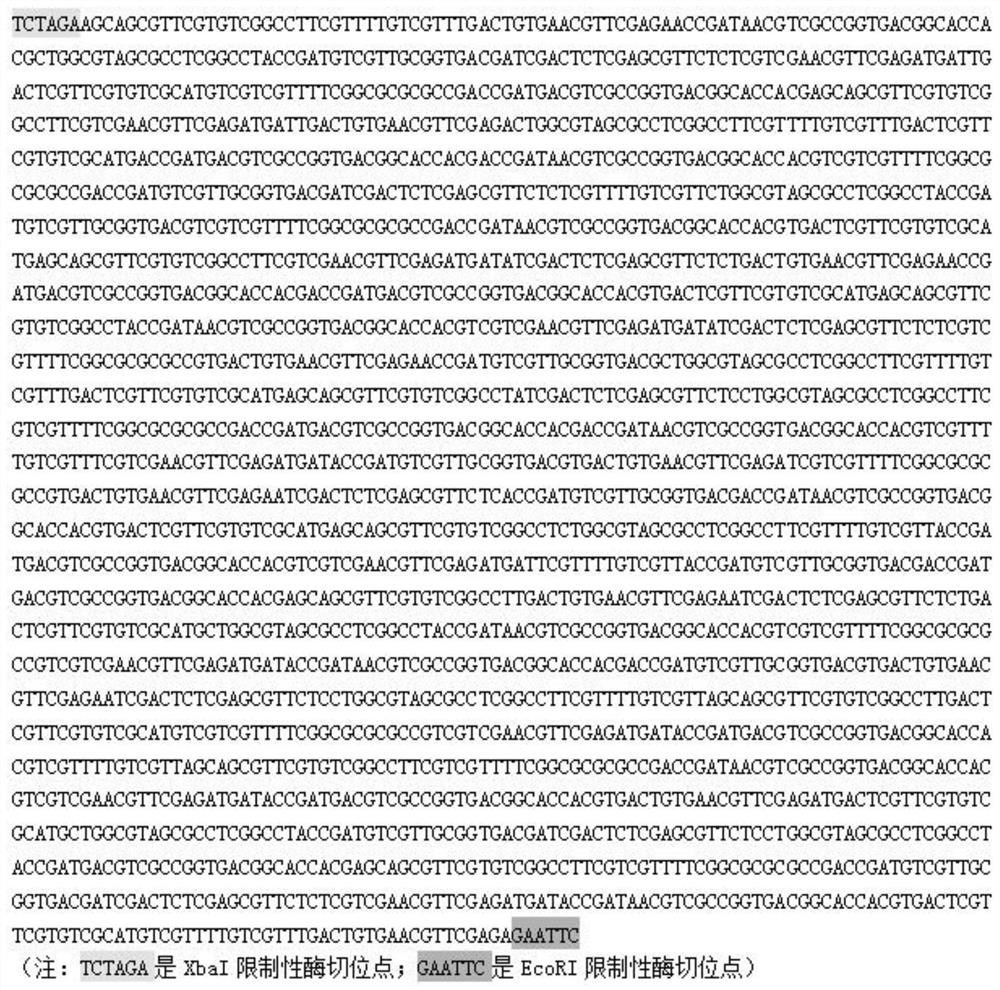 CpG-ODN with specific immunity stimulation function for PRRSV, and application of CpG-ODN