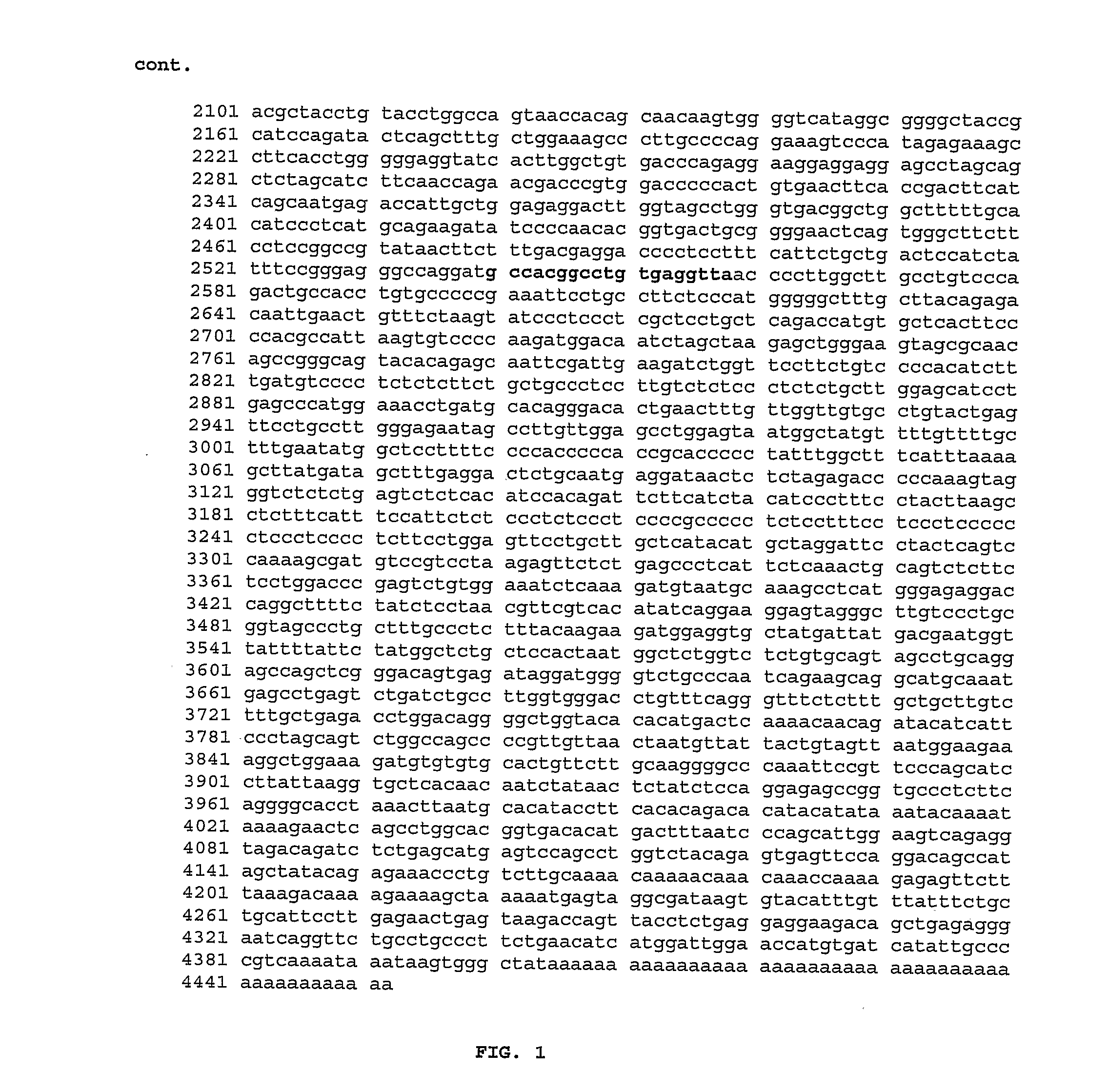 Compounds for treating or preventing amine oxidase related diseases or disorders