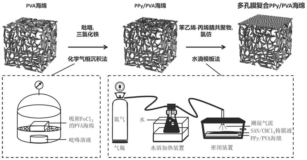 Leaf-like porous membrane composite PPy/PVA sponge and preparation method and application thereof