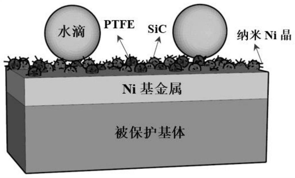 A kind of ni-ptfe-sic superhydrophobic anticorrosion coating and preparation method thereof