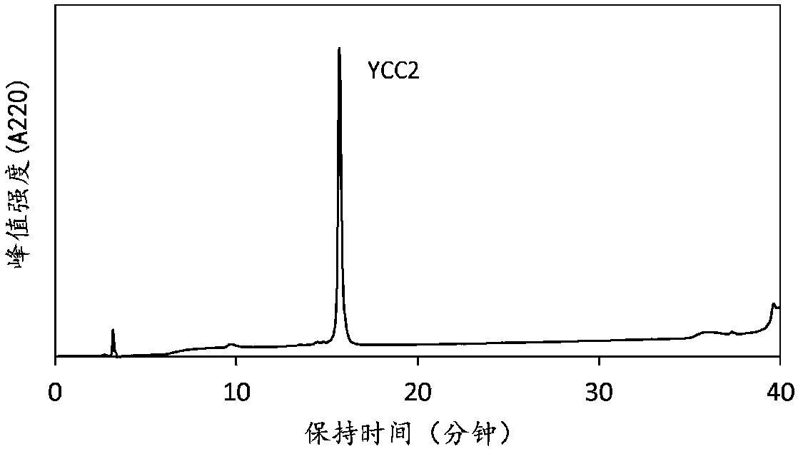 Polymerized peptide and gel having collagen-like structure