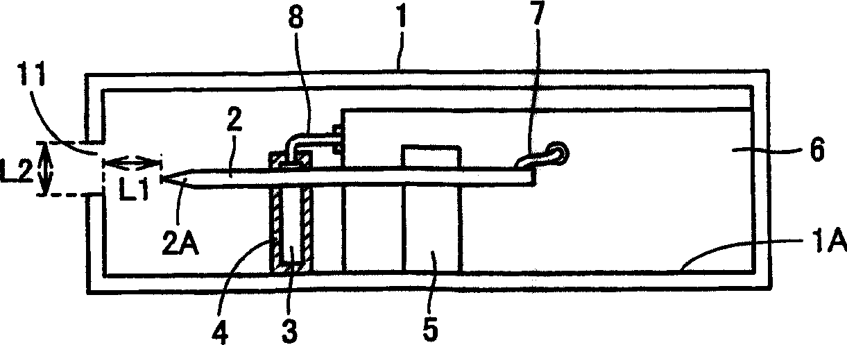 Ion generator