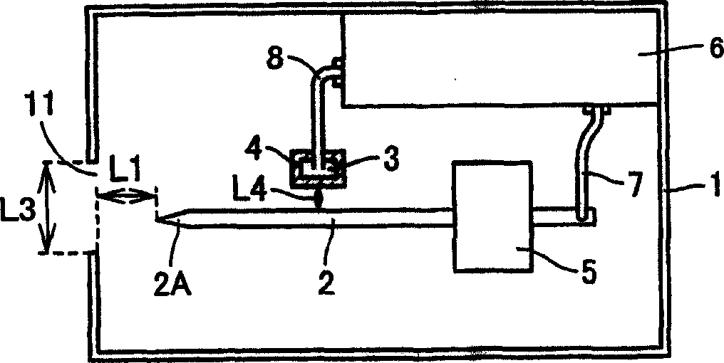 Ion generator