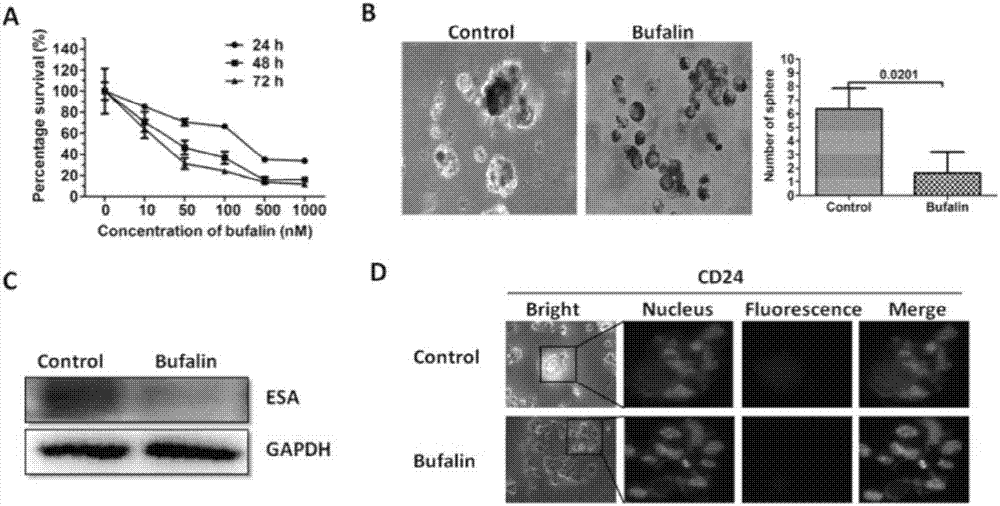 Applications of Bufalin in preparing preparation capable of realizing targeted inhibition on pancreatic cancer stem cells