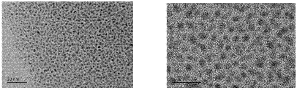Preparation method of size controllable rhotanium nano particles