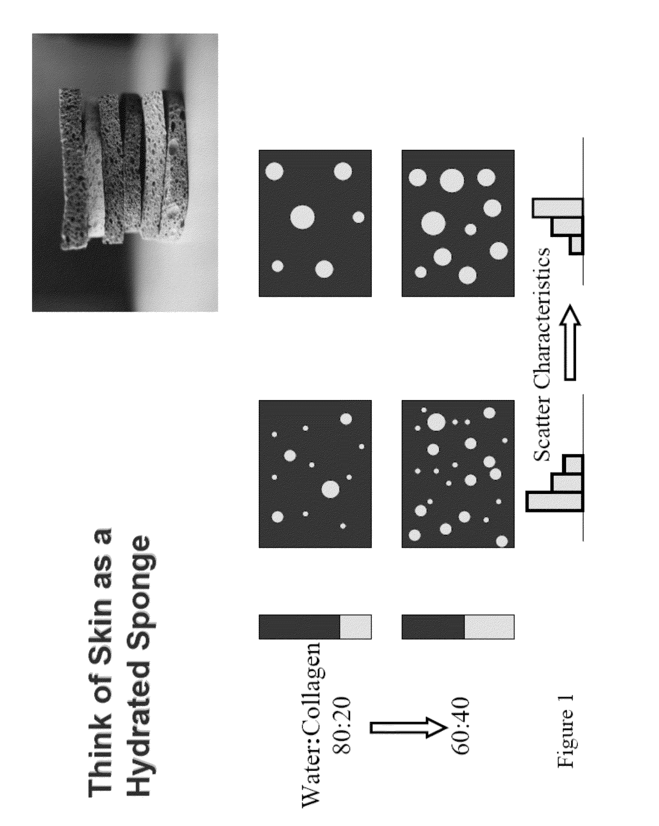 Methods and Apparatuses for Noninvasive Determinations of Analytes