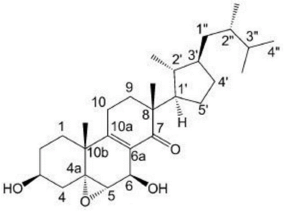 acute-vs-chronic-renal-failure-what-s-the-difference-differencess