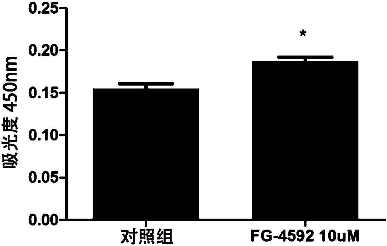 Application of FG-4592 to promotion of epidermal stem cell migration