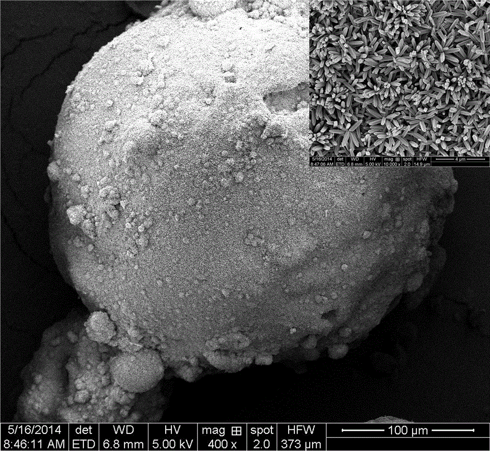 Preparation method of floatable type recoverable photocatalyst based on single-crystal titanium dioxide