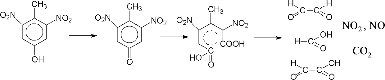 Oxidative pyrolysis process of dinitrotoluene wastewater