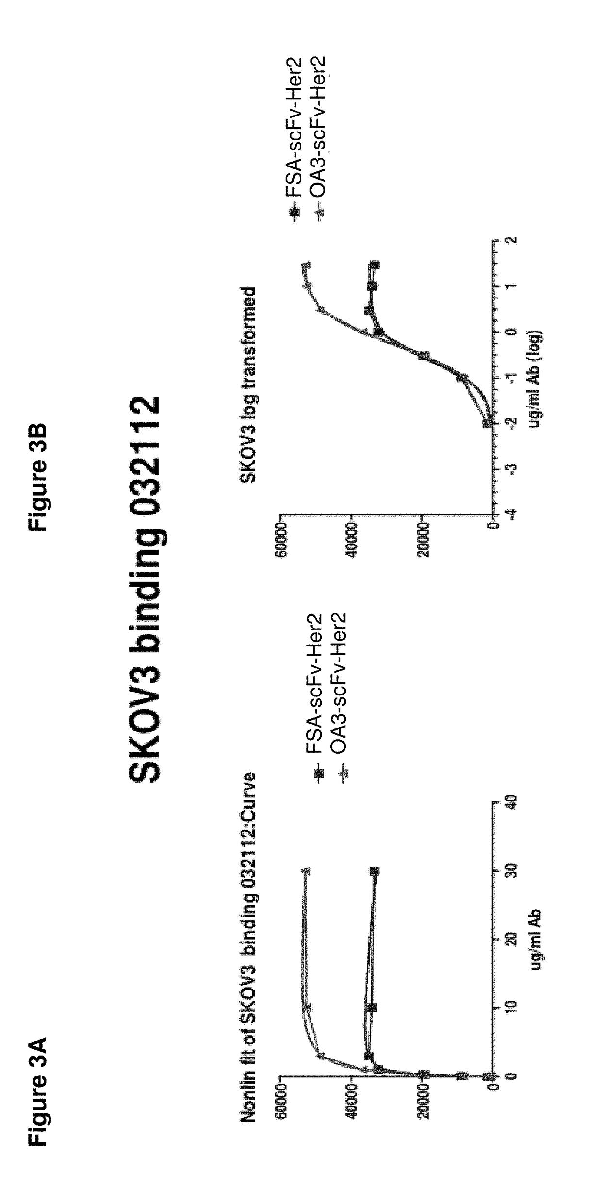 Single-Arm Monovalent Antibody Constructs and Uses Thereof