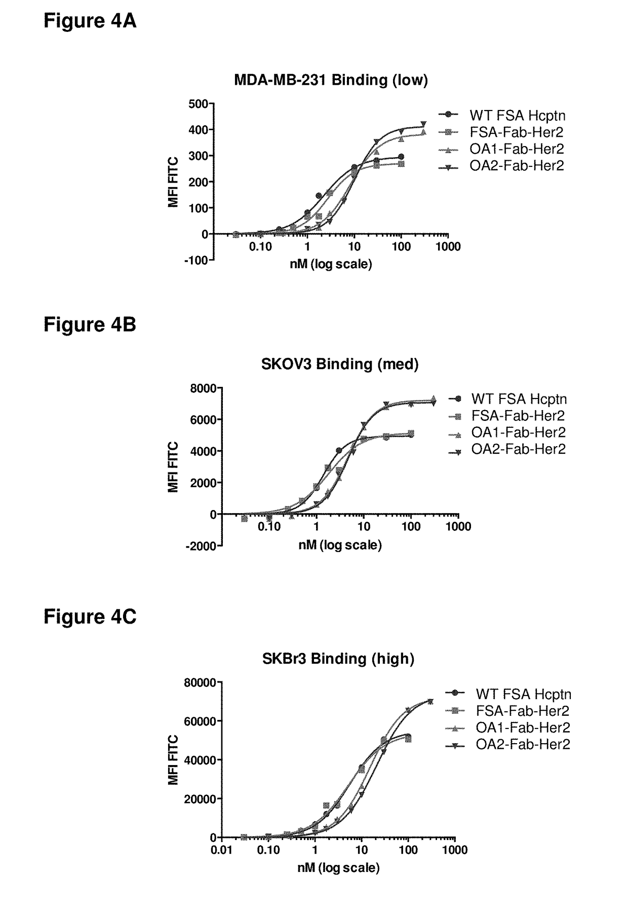 Single-Arm Monovalent Antibody Constructs and Uses Thereof