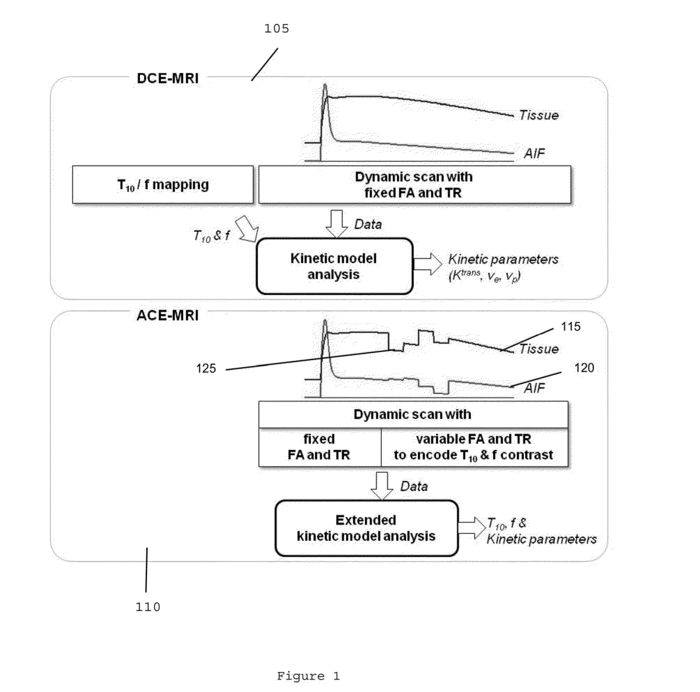 System, method, and computer-accessible medium for determining at least one characteristic of at least one tissue or at least one MRI measurement condition of the at least one tissue using active contrast encoding magnetic resonance imaging procedure(s)