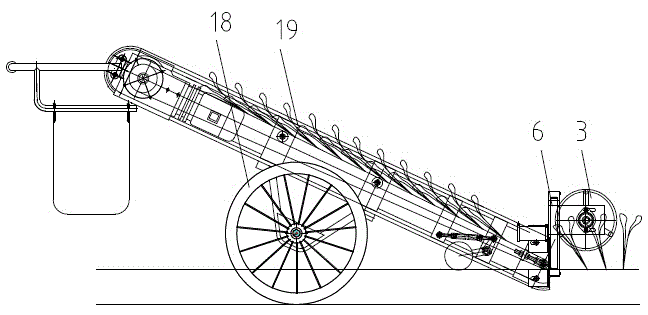Feeding cutting device and orderly vegetable harvesting machine with same