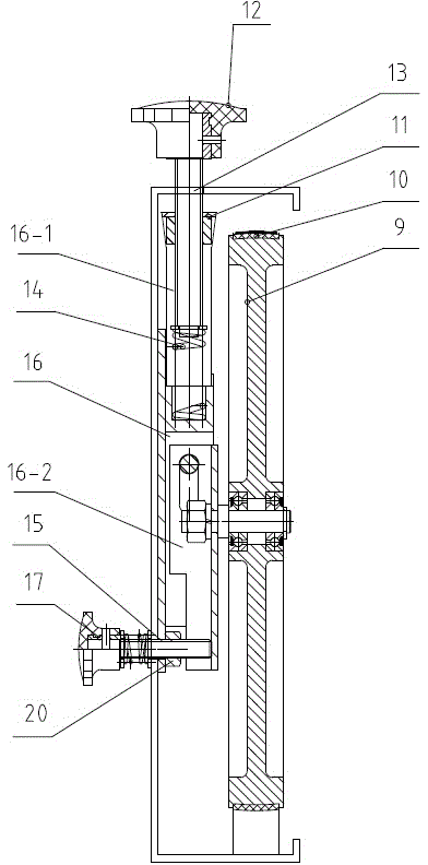 Feeding cutting device and orderly vegetable harvesting machine with same
