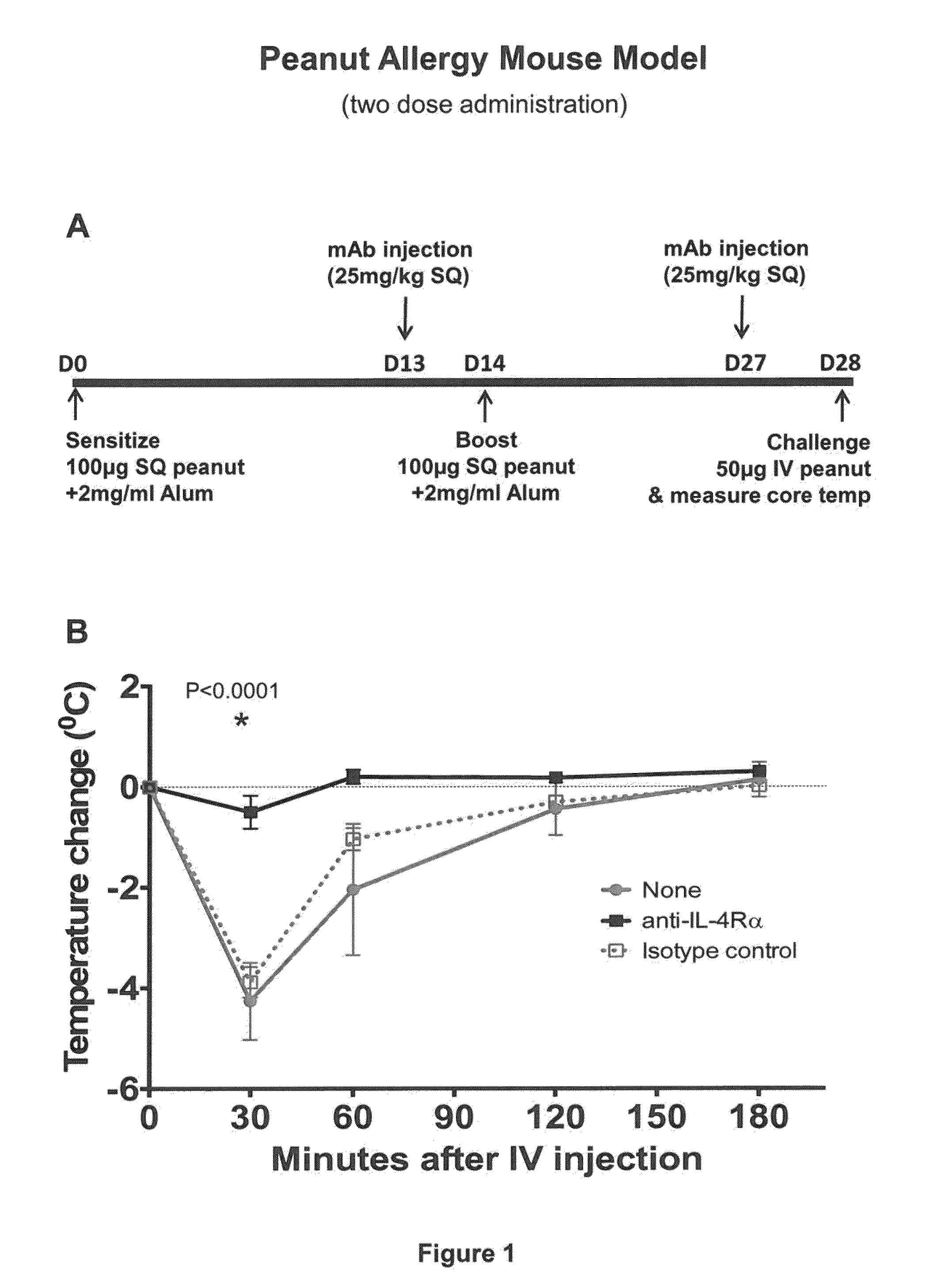 Methods for treating allergy and enhancing allergen-specific immunotherapy by administering an IL-4R inhibitor