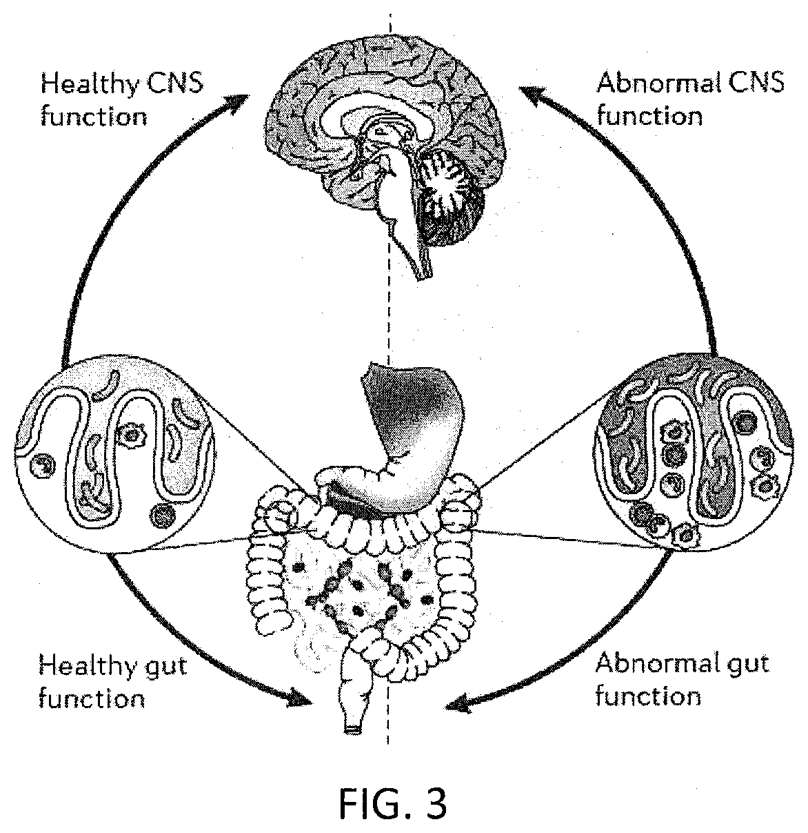 Method and System for Increasing Beneficial Bacteria and Decreasing Pathogenic Bacteria in the Oral Cavity