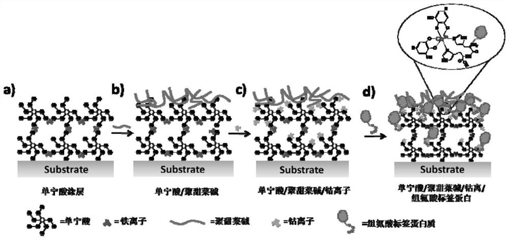 A method and application for purifying and directional immobilizing histidine-tagged protein