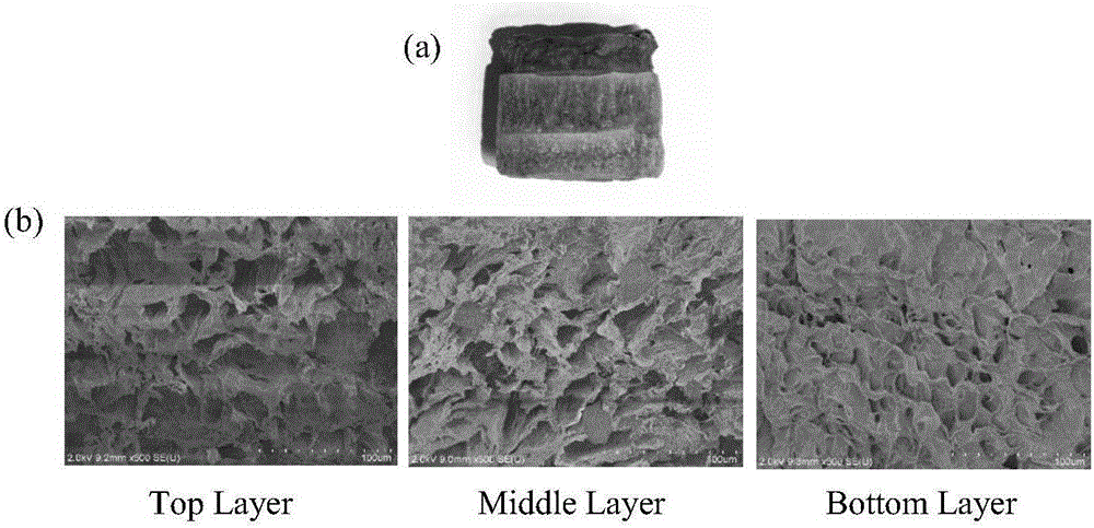 Preparation method of DA-based gradient functional material
