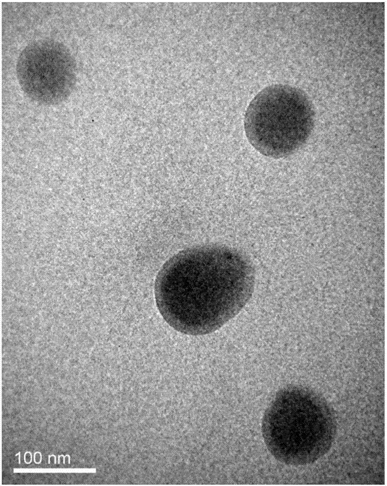 Chitosan nanometer micro-bubble and preparation method and application thereof