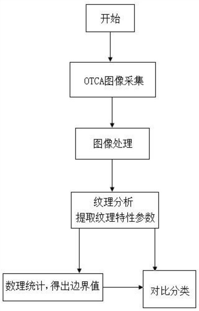 Diabetic retinopathy early detection method based on OCTA image texture analysis