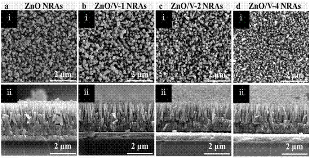 Vanadium-doped ZnO nanorod array photo-anode, and preparation method and application thereof