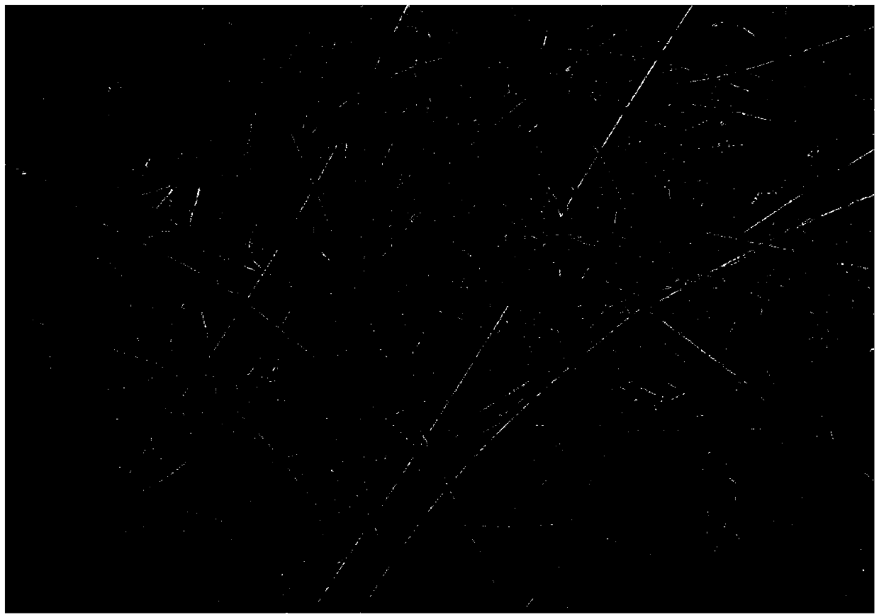 Method for producing oil-gas separation glass fiber filter paper through hot air drying