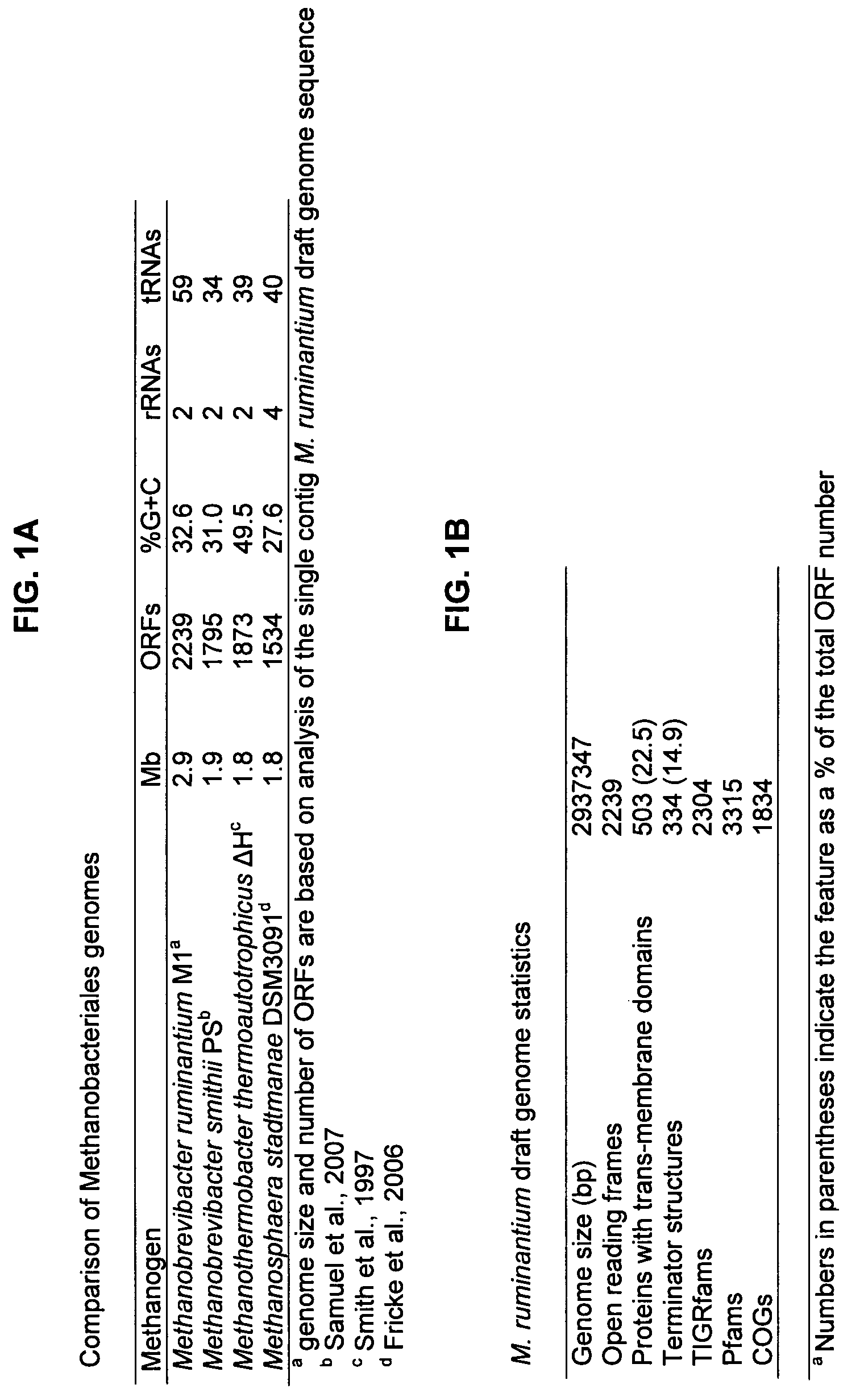 Cell-permeabilising peptides and polypeptides for microbial cells