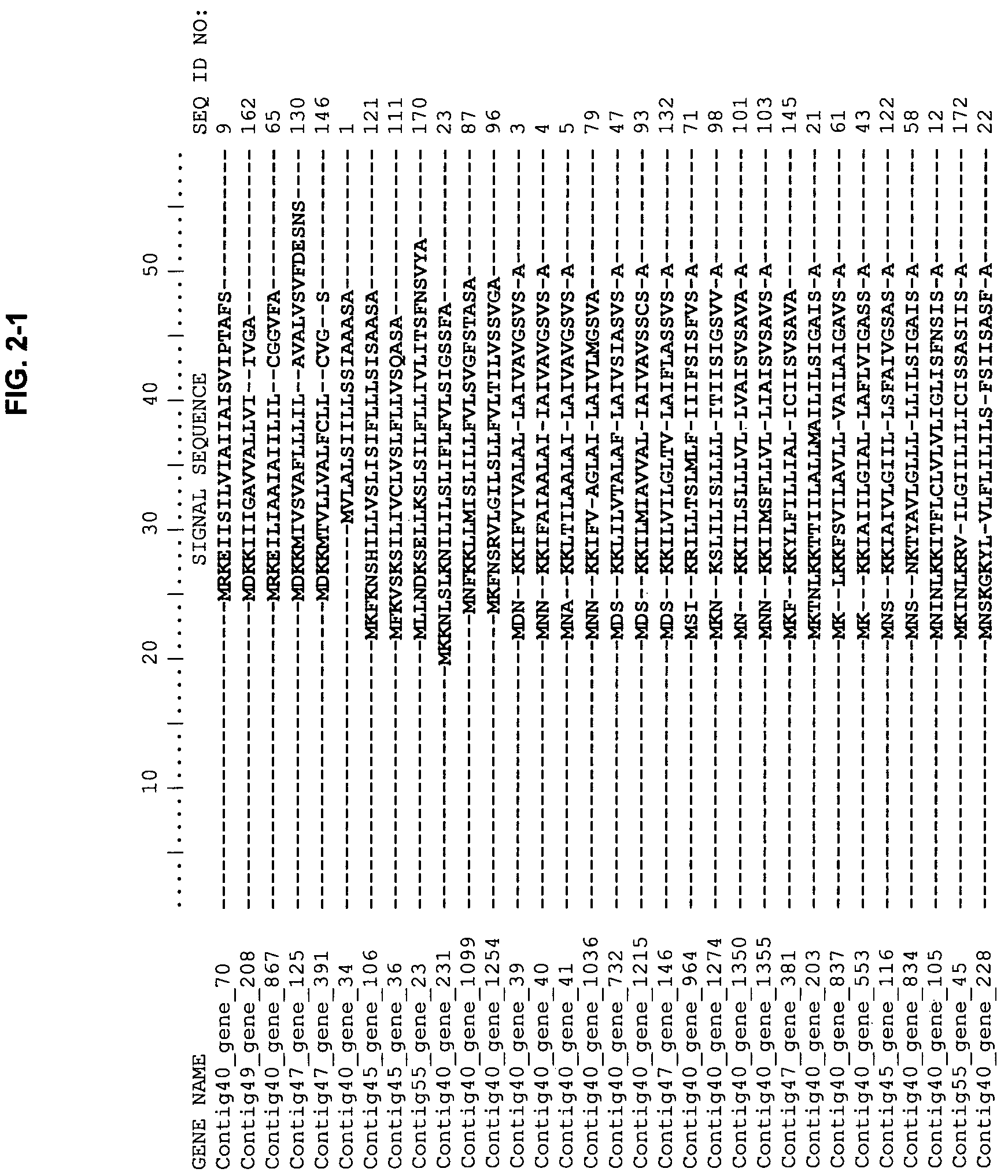 Cell-permeabilising peptides and polypeptides for microbial cells